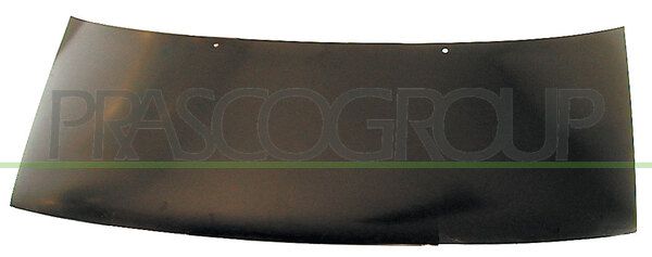 COFANO CITROEN JUMPY Mod 10/95 02/03