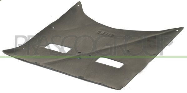 PRASCO Insonorizzazione vano motore FT4201900