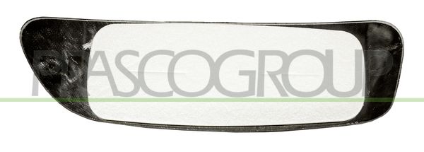 PRASCO Vetro specchio, Specchio esterno FT9107533
