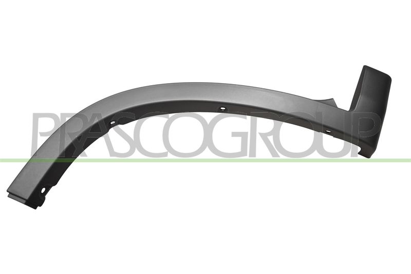 PRASCO Modanatura decorativa/ protettiva, Parafango FT9301582