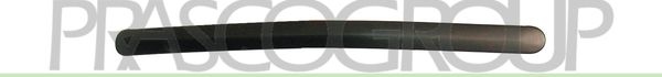 PRASCO Mostrina, Paraurti HD0341203