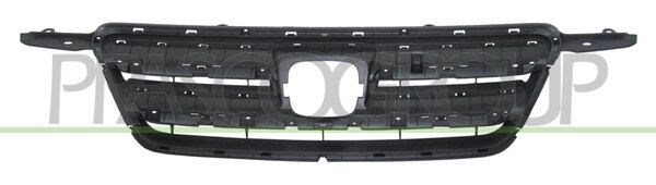 PRASCO Griglia radiatore HD8262001