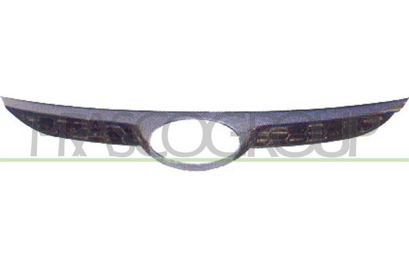PRASCO Griglia radiatore HN0022001OE