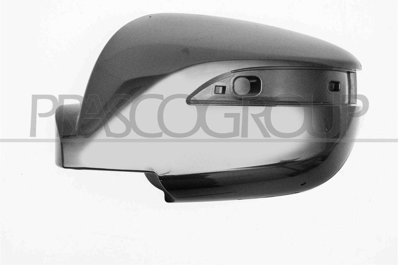 PRASCO Copertura, Specchio esterno HN8057404