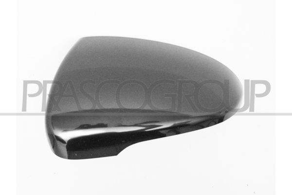 PRASCO Copertura, Specchio esterno HN8067414