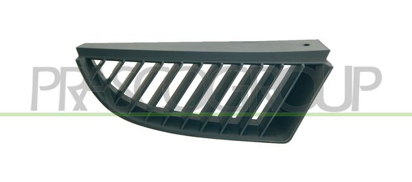 PRASCO Griglia radiatore MB3242003