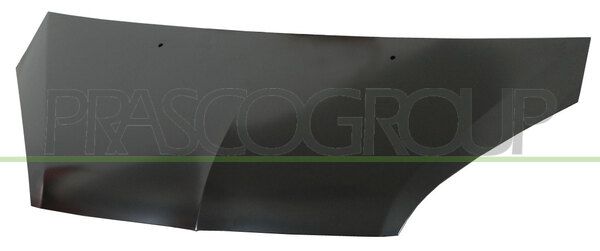 PRASCO Cofano motore MB3243100