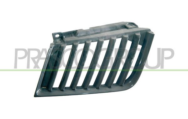 PRASCO Griglia radiatore MB8212003