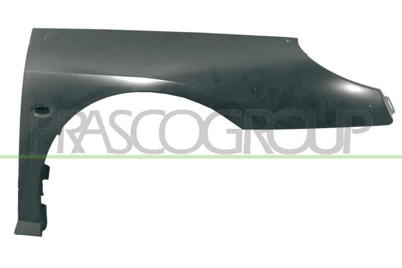 PRASCO Parafango PG0613013