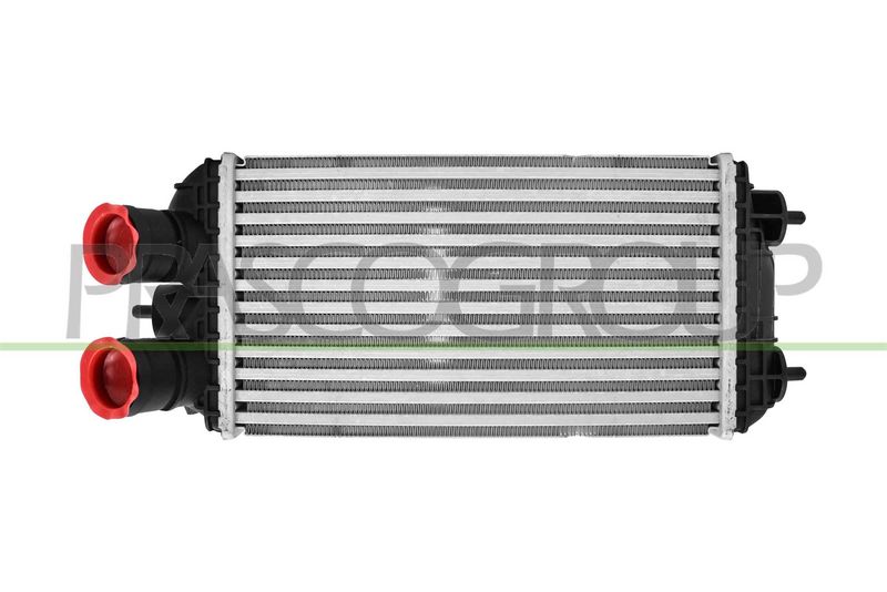 PRASCO Intercooler PG330N001