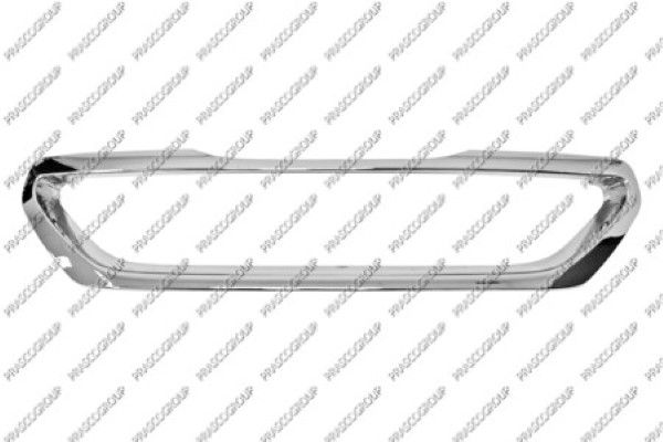 PRASCO Telaio, Griglia radiatore PG5002305