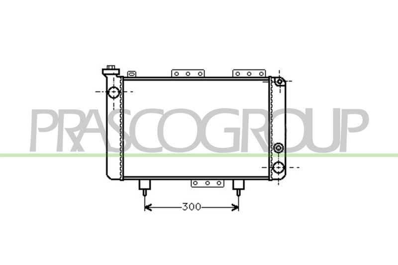PRASCO Radiatore, Raffreddamento motore RN001R001