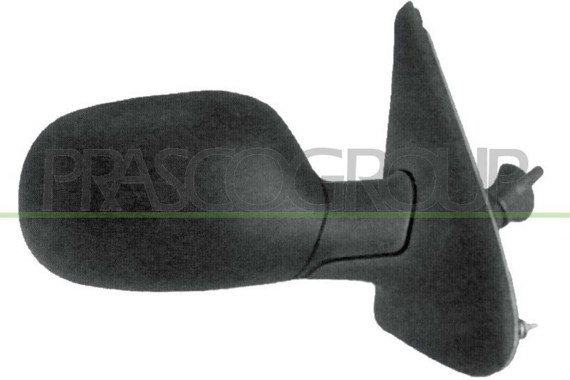 PRASCO Specchio retrovisore esterno RN0267123
