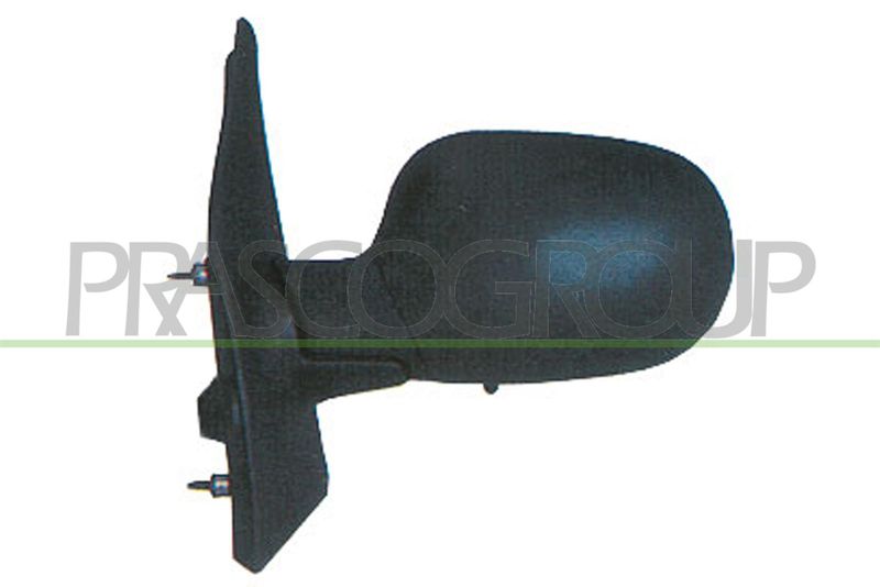 PRASCO Specchio retrovisore esterno RN0307314