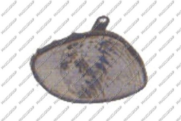 PRASCO Indicatore direzione TY0874013