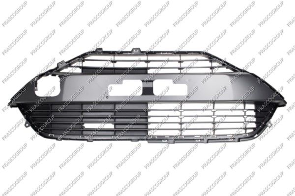 PRASCO Griglia radiatore TY2082001