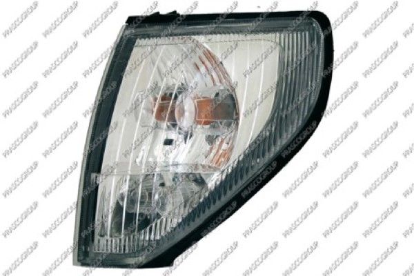 PRASCO Indicatore direzione TY8404024