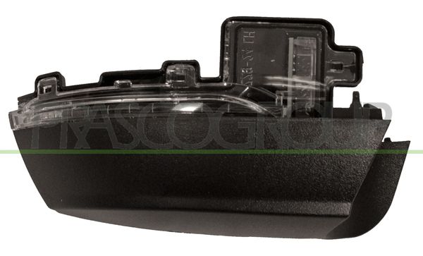 PRASCO Indicatore direzione VG0237415