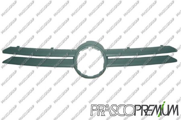PRASCO Griglia radiatore VG0342001