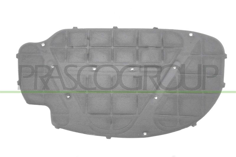 PRASCO Insonorizzazione vano motore VG0361945