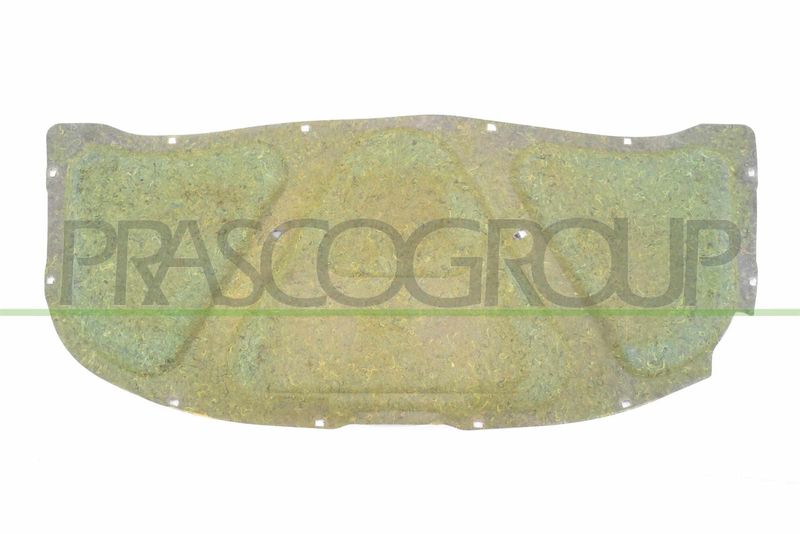 PRASCO Insonorizzazione vano motore VG0521945