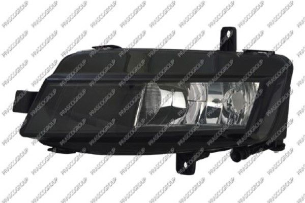 PRASCO Fendinebbia VG4004414