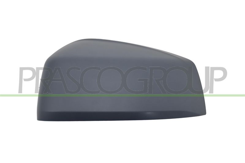 PRASCO Copertura, Specchio esterno VG8617414