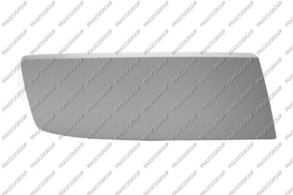 PRASCO Modanatura decorativa/ protettiva, Paraurti VG9191247
