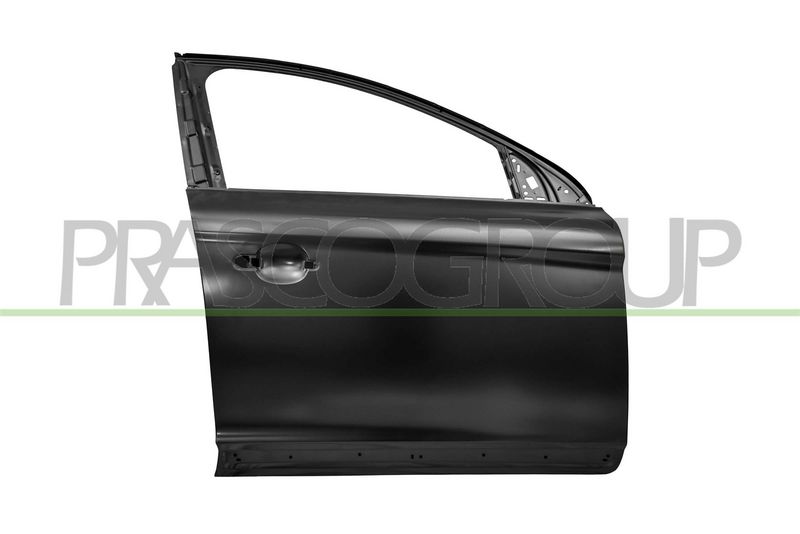 PRASCO Portiera, Carrozzeria VV6103503
