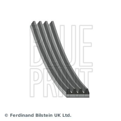 BLUE PRINT Cinghia Poly-V AD04R1045