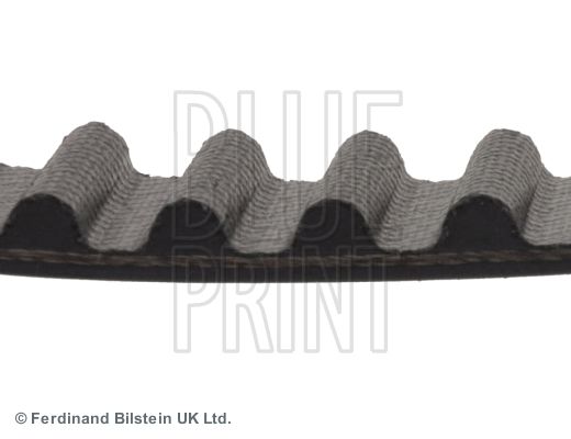 BLUE PRINT Cinghia dentata ADC47556