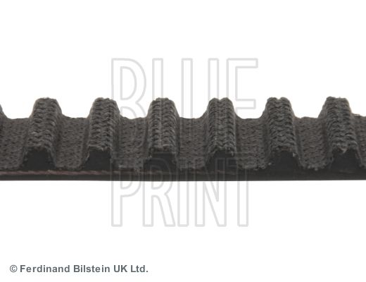 BLUE PRINT Cinghia dentata ADM57537