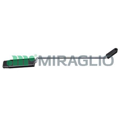 MIRAGLIO Asta selezione/innesto 35/137