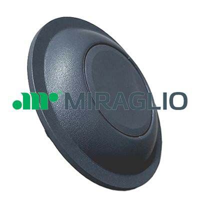MIRAGLIO Maniglia portiera, Equipaggiamento interno 60/423