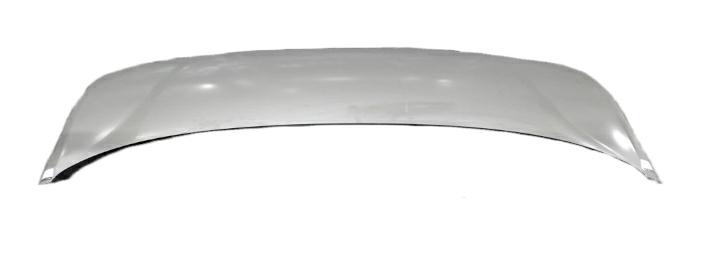 COFANO ANTERIORE BYD DOLPHIN 01/23>
